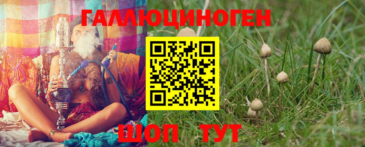 Лысьва  Псилоцибиновые грибы Cubensis  Вход с VPN 