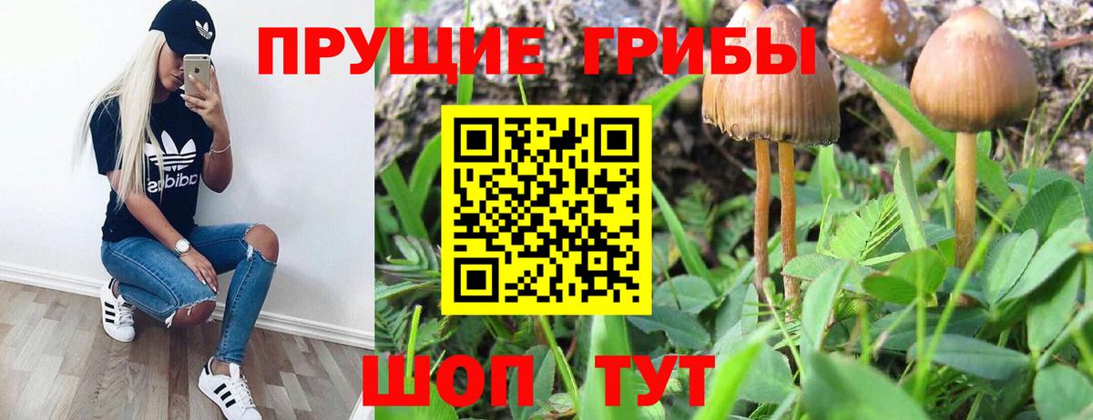 Галлюциногенные грибы мухоморы Лысьва